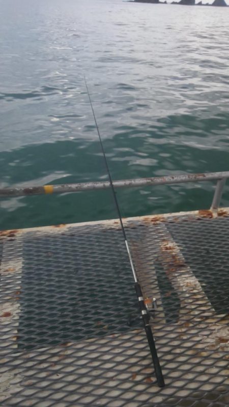 下関フィッシングパーク　アジ好調　サイズはもう少し(^_^;)ですネ